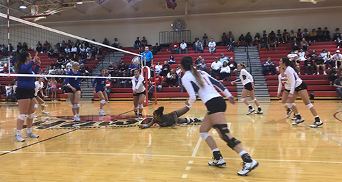 Northeast Volleyball Team Earns Honor for Academics